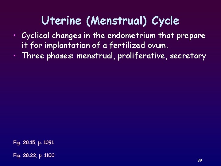 Uterine (Menstrual) Cycle • Cyclical changes in the endometrium that prepare it for implantation