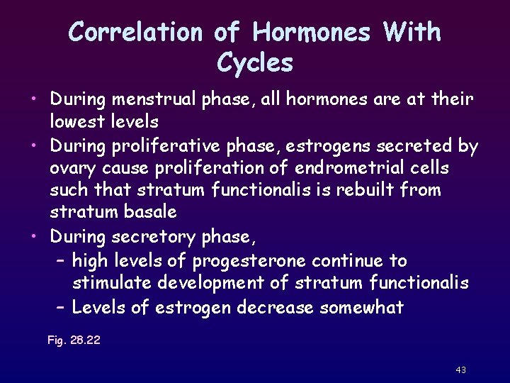Correlation of Hormones With Cycles • During menstrual phase, all hormones are at their
