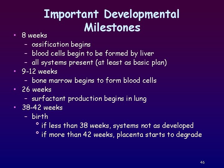 Important Developmental Milestones • 8 weeks – ossification begins – blood cells begin to