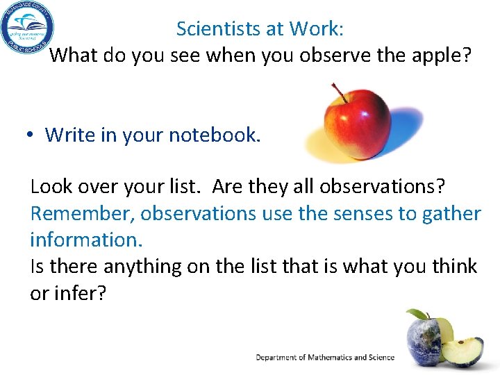 Scientists at Work: What do you see when you observe the apple? • Write