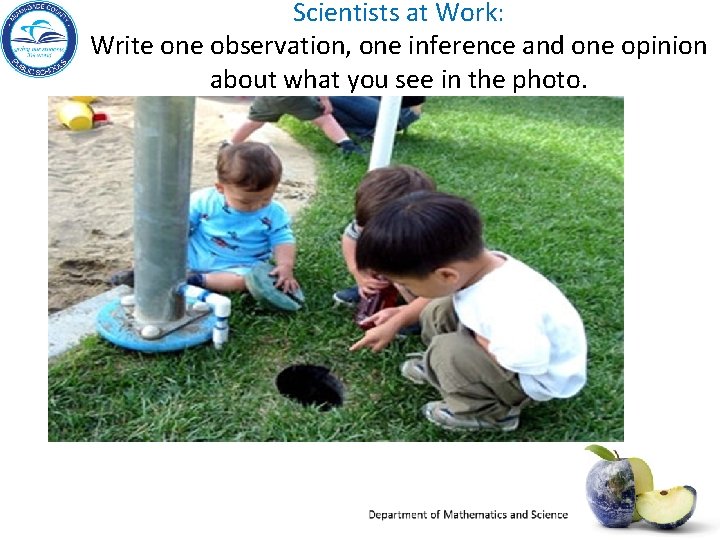Scientists at Work: Write one observation, one inference and one opinion about what you