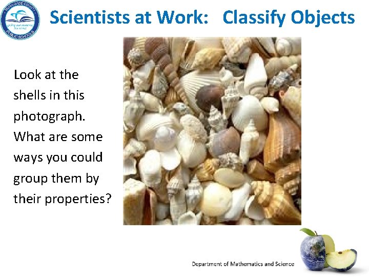 Scientists at Work: Classify Objects Look at the shells in this photograph. What are