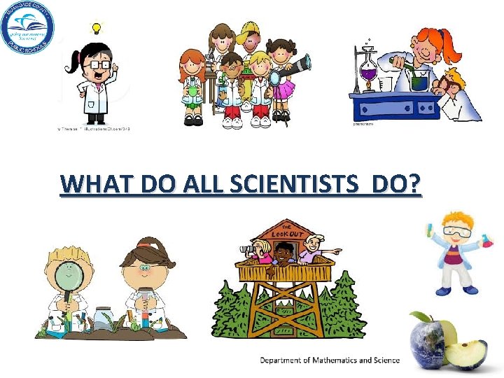 WHAT DO ALL SCIENTISTS DO? 