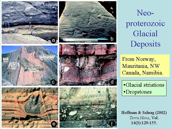 Neoproterozoic Glacial Deposits From Norway, Mauritania, NW Canada, Namibia. • Glacial striations • Dropstones