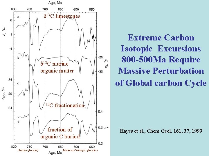  13 C limestones 13 C marine organic matter 13 C fractionation fraction of
