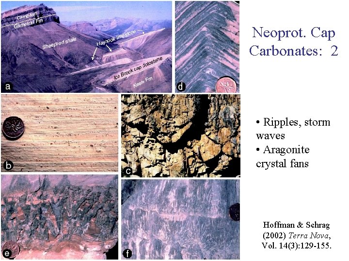 Neoprot. Cap Carbonates: 2 • Ripples, storm waves • Aragonite crystal fans Hoffman &
