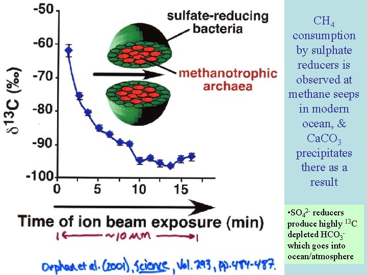 CH 4 consumption by sulphate reducers is observed at methane seeps in modern ocean,