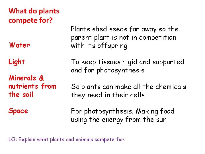 What do plants compete for? Water Light Minerals & nutrients from the soil Space