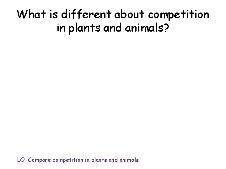 What is different about competition in plants and animals? LO: Compare competition in plants