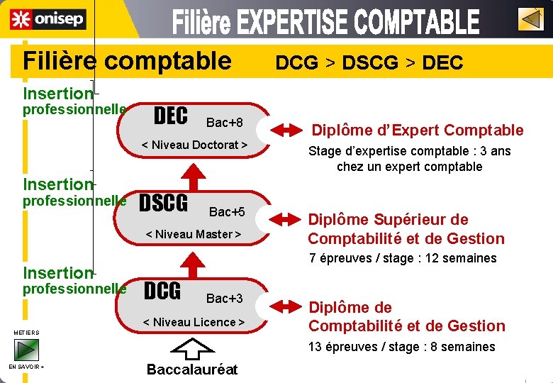  Filière comptable DCG > DSCG > DEC Insertion o professionnelle DEC Bac+8 <