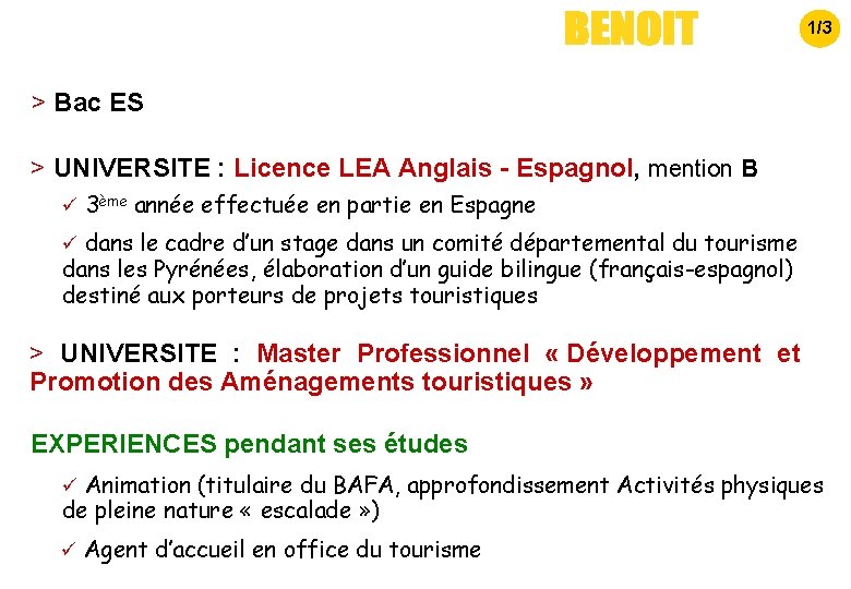 1/3 > Bac ES > UNIVERSITE : Licence LEA Anglais - Espagnol, mention B