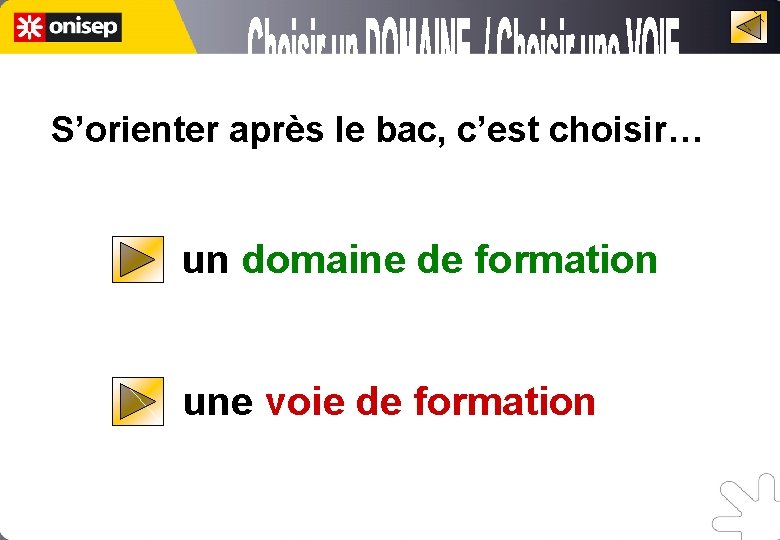 S’orienter après le bac, c’est choisir… un domaine de formation une voie de formation