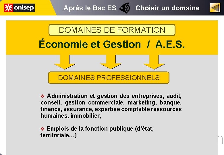 Après le Bac ES Choisir un domaine DOMAINES DE FORMATION Économie et Gestion /