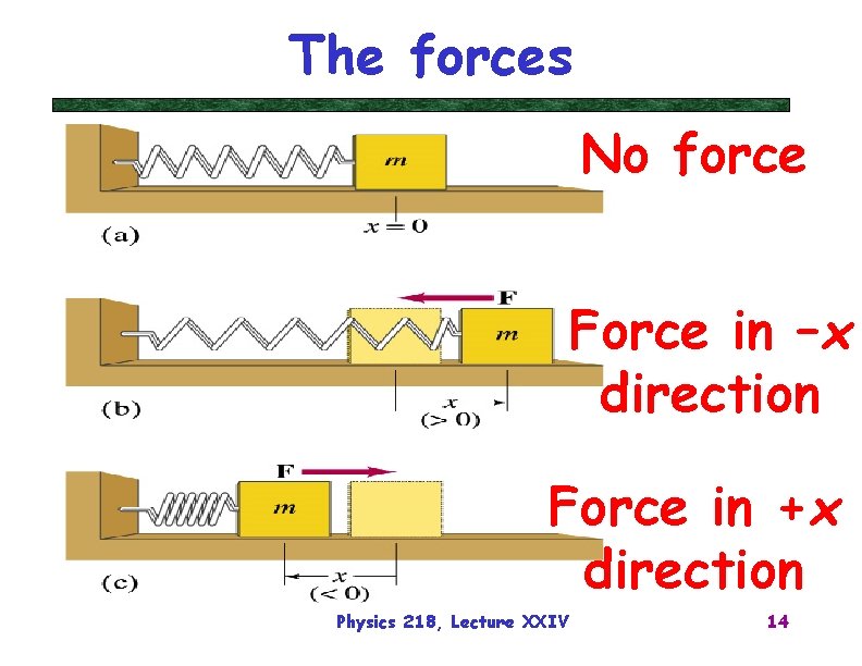 The forces No force Force in –x direction Force in +x direction Physics 218,
