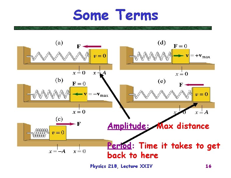Some Terms Amplitude: Max distance Period: Time it takes to get back to here