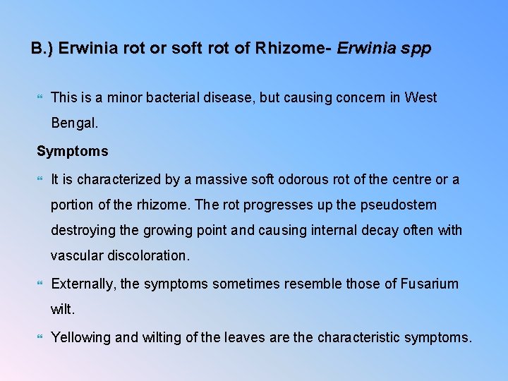 B. ) Erwinia rot or soft rot of Rhizome- Erwinia spp This is a