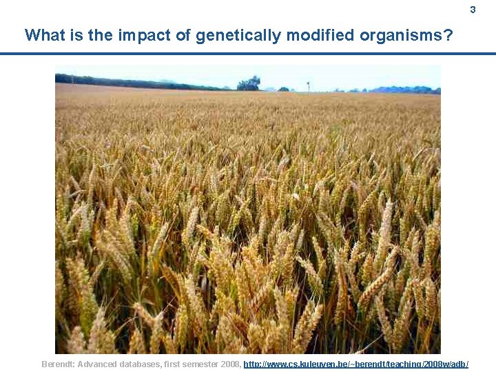 3 What is the impact of genetically modified organisms? Berendt: Advanced databases, first semester