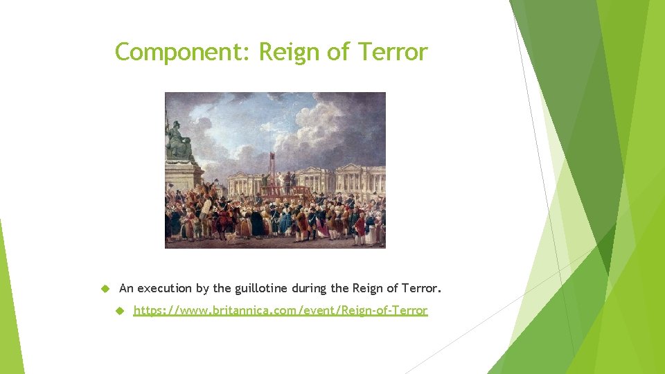 Component: Reign of Terror An execution by the guillotine during the Reign of Terror.