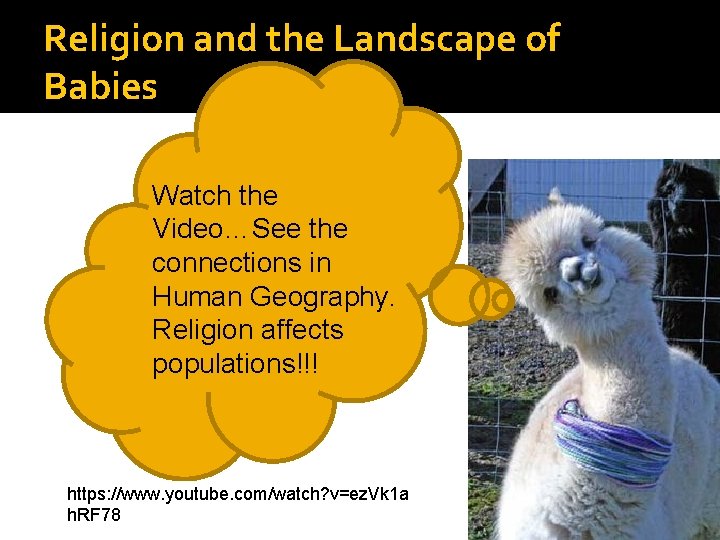 Religion and the Landscape of Babies Watch the Video…See the connections in Human Geography.
