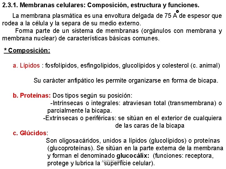 2. 3. 1. Membranas celulares: Composición, estructura y funciones. La membrana plasmática es una