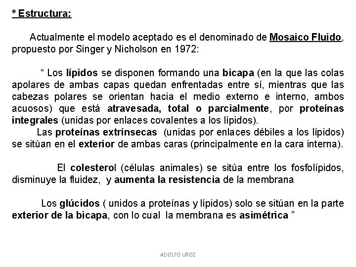 * Estructura: Actualmente el modelo aceptado es el denominado de Mosaico Fluido, propuesto por