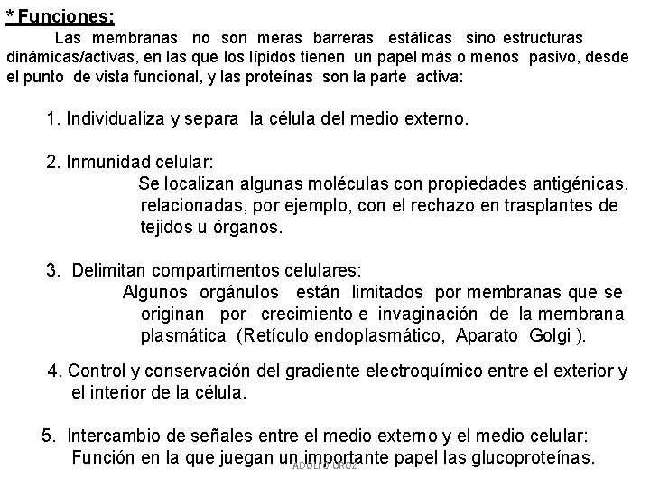 * Funciones: Las membranas no son meras barreras estáticas sino estructuras dinámicas/activas, en las