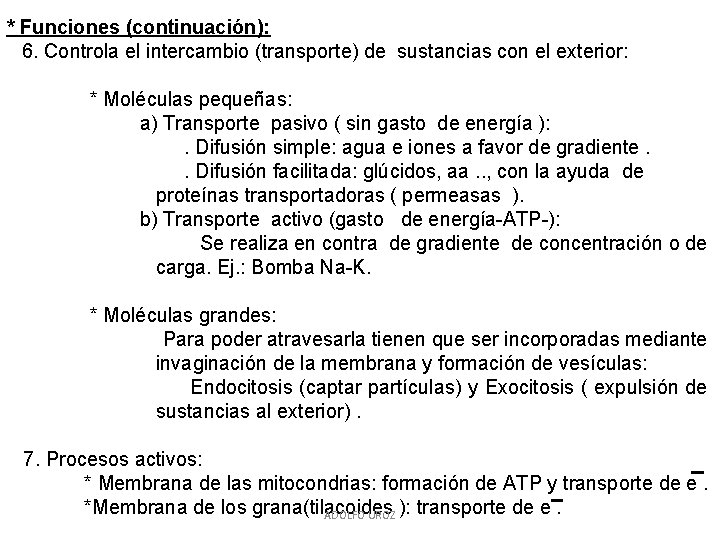 * Funciones (continuación): 6. Controla el intercambio (transporte) de sustancias con el exterior: *