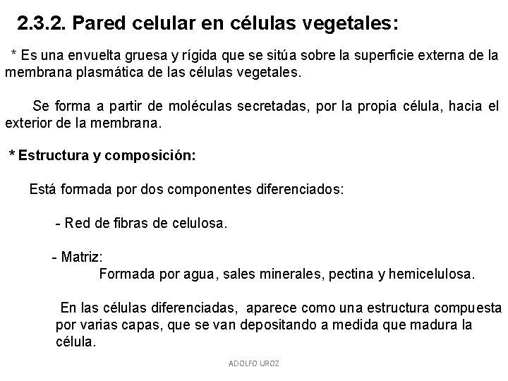 2. 3. 2. Pared celular en células vegetales: * Es una envuelta gruesa y