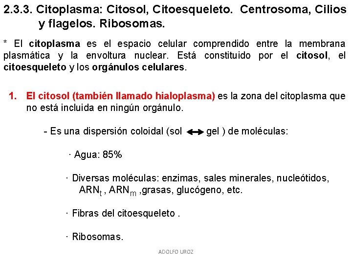 2. 3. 3. Citoplasma: Citosol, Citoesqueleto. Centrosoma, Cilios y flagelos. Ribosomas. * El citoplasma