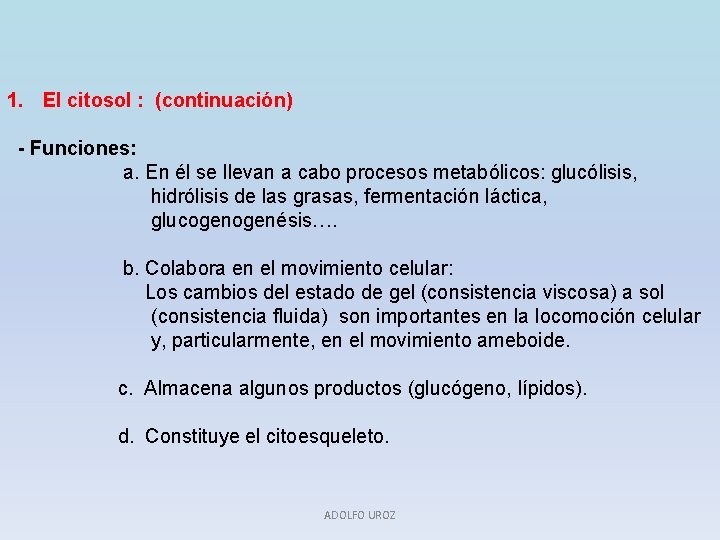 1. El citosol : (continuación) - Funciones: a. En él se llevan a cabo