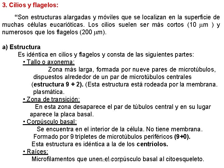 3. Cilios y flagelos: “Son estructuras alargadas y móviles que se localizan en la