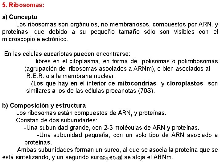 5. Ribosomas: a) Concepto Los ribosomas son orgánulos, no membranosos, compuestos por ARNr y