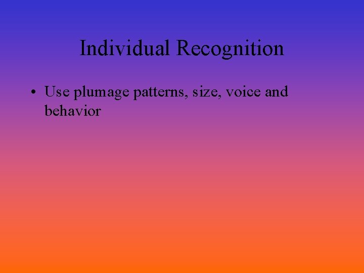 Individual Recognition • Use plumage patterns, size, voice and behavior 