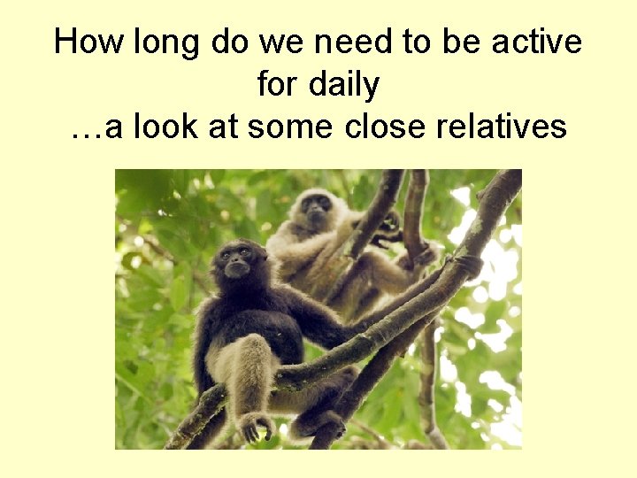 How long do we need to be active for daily …a look at some