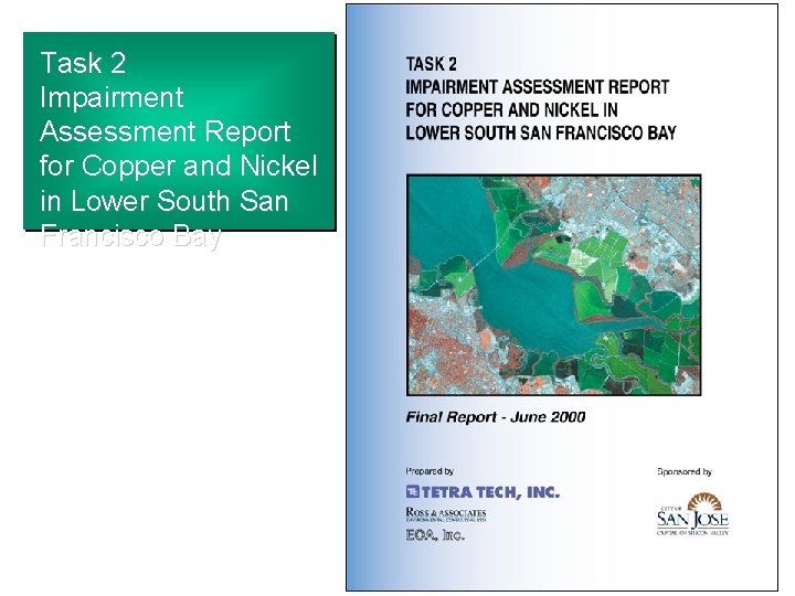 Task 2 Impairment Assessment Report for Copper and Nickel in Lower South San Francisco