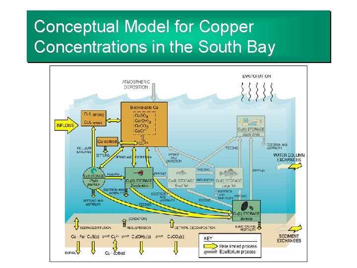 Conceptual Model for Copper Concentrations in the South Bay 
