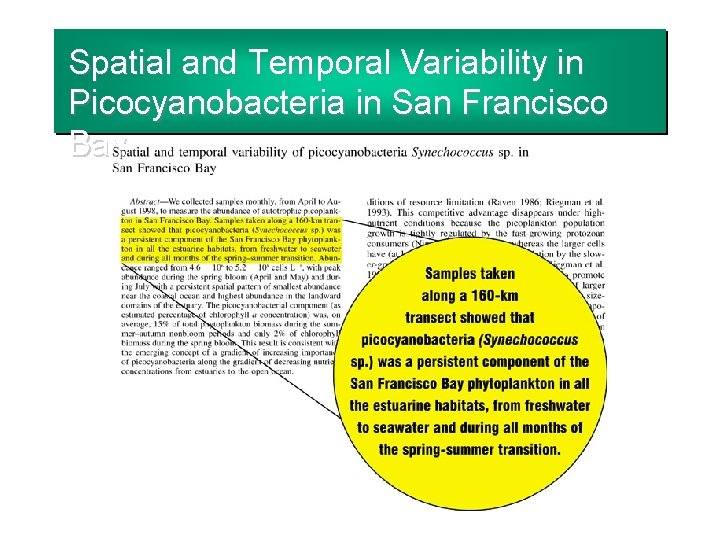 Spatial and Temporal Variability in Picocyanobacteria in San Francisco Bay 