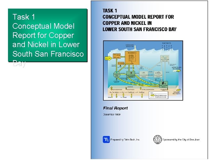 Task 1 Conceptual Model Report for Copper and Nickel in Lower South San Francisco