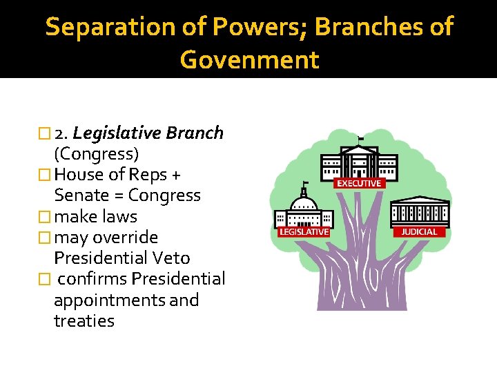 Separation of Powers; Branches of Govenment � 2. Legislative Branch (Congress) � House of