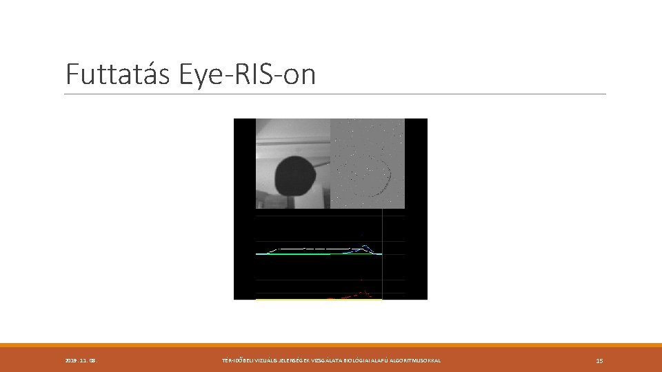 Futtatás Eye-RIS-on 2019. 11. 08. TÉR-IDŐBELI VIZUÁLIS JELENSÉGEK VIZSGÁLATA BIOLÓGIAI ALAPÚ ALGORITMUSOKKAL 15 