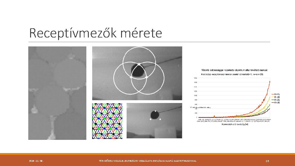 Receptívmezők mérete 2019. 11. 08. TÉR-IDŐBELI VIZUÁLIS JELENSÉGEK VIZSGÁLATA BIOLÓGIAI ALAPÚ ALGORITMUSOKKAL 16 