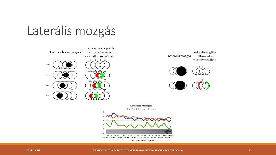 Laterális mozgás 2019. 11. 08. TÉR-IDŐBELI VIZUÁLIS JELENSÉGEK VIZSGÁLATA BIOLÓGIAI ALAPÚ ALGORITMUSOKKAL 17 