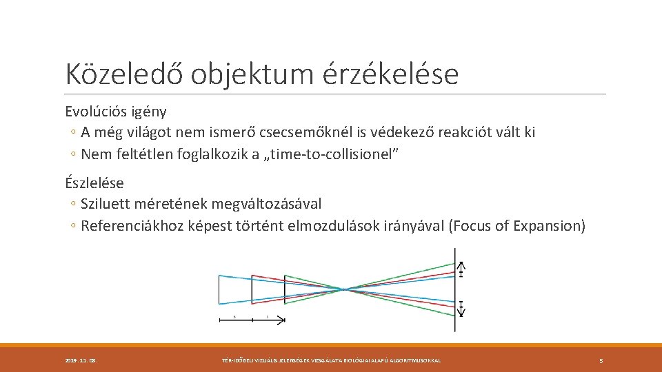 Közeledő objektum érzékelése Evolúciós igény ◦ A még világot nem ismerő csecsemőknél is védekező