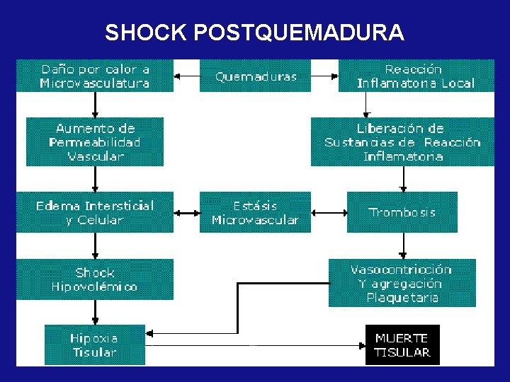 SHOCK POSTQUEMADURA 