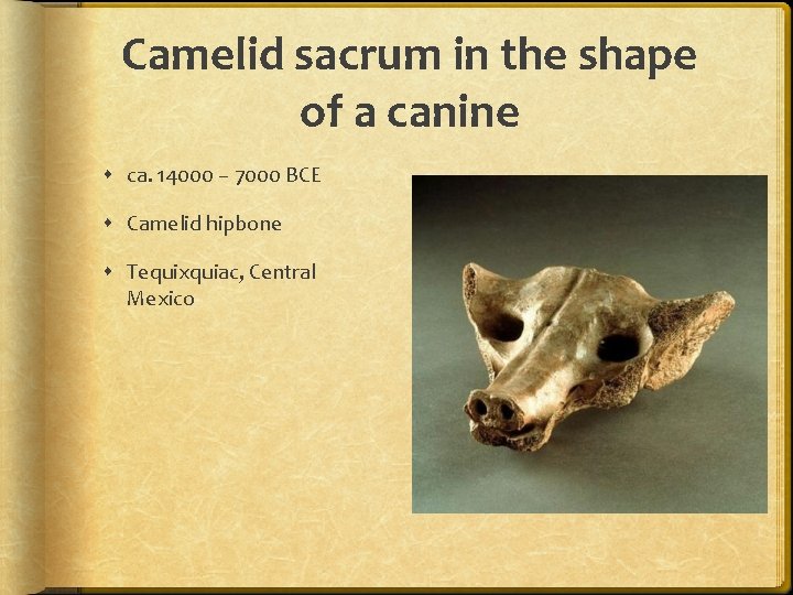 Camelid sacrum in the shape of a canine ca. 14000 – 7000 BCE Camelid