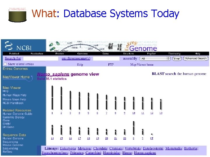 What: Database Systems Today 