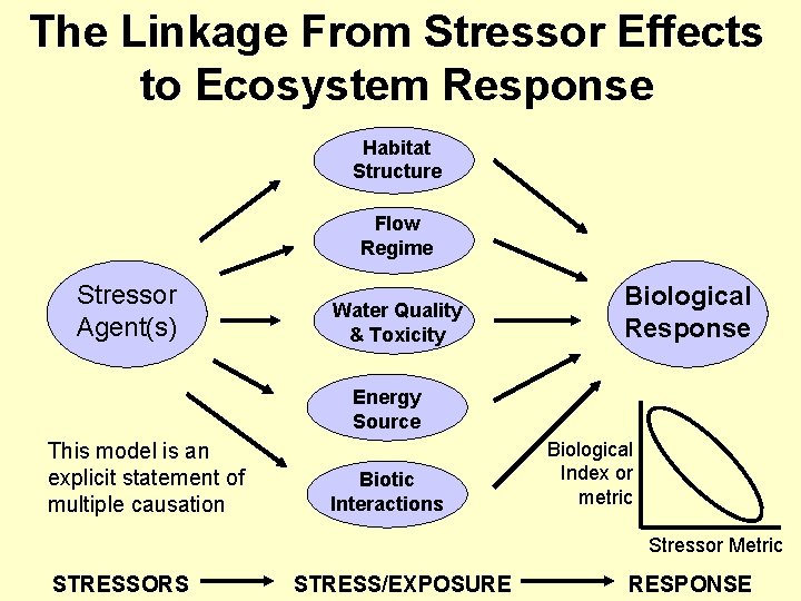 The Linkage From Stressor Effects to Ecosystem Response Habitat Structure Flow Regime Stressor Agent(s)