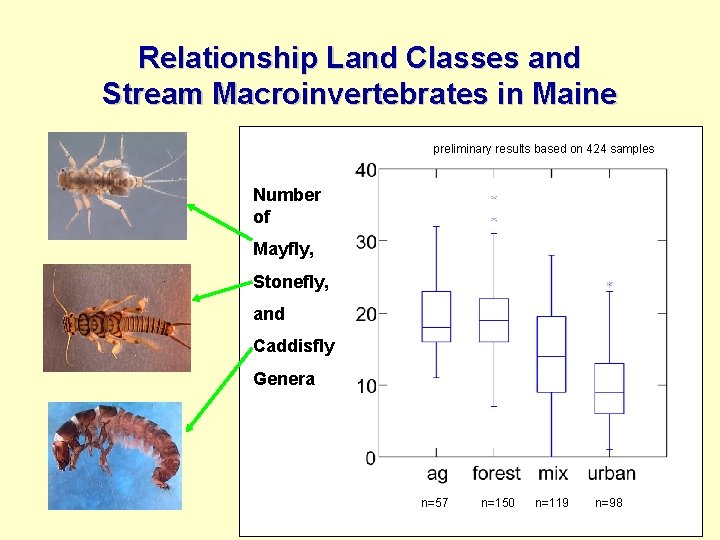Relationship Land Classes and Stream Macroinvertebrates in Maine preliminary results based on 424 samples