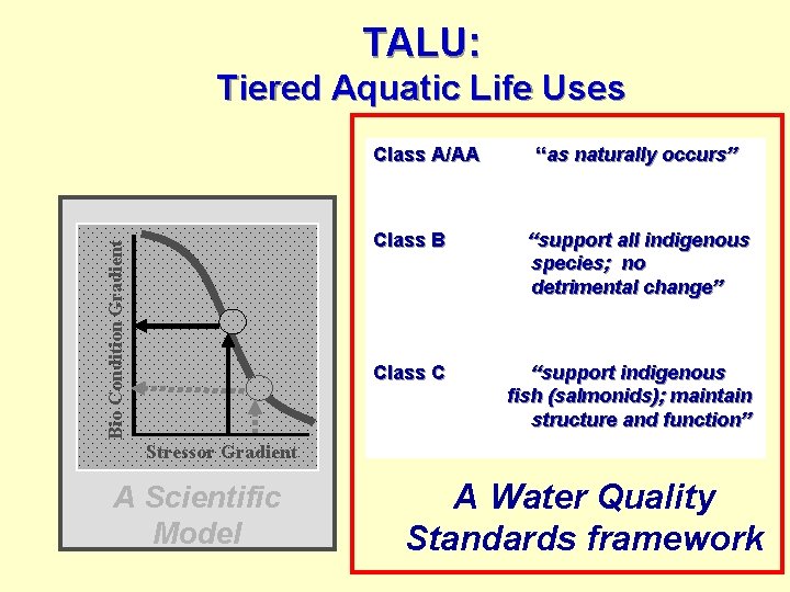 TALU: Tiered Aquatic Life Uses Bio Condition Gradient Class A/AA “as naturally occurs” Class