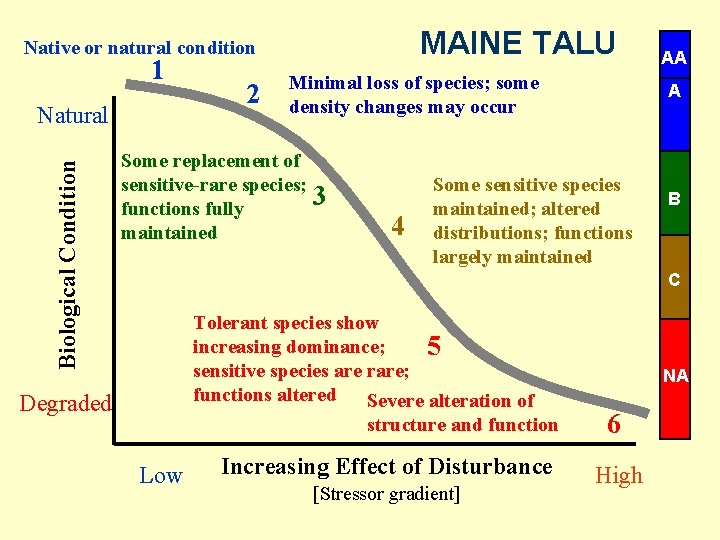 MAINE TALU Native or natural condition 1 Biological Condition Natural 2 Minimal loss of